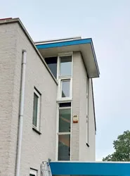Duiven